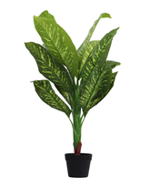 Artificial Variegated Dumb Cane Plant 90cm (3ft)